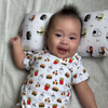 Foodie Baby Snuggly Cloud Pillow Set (Kimonie Wrap Onesie Series)